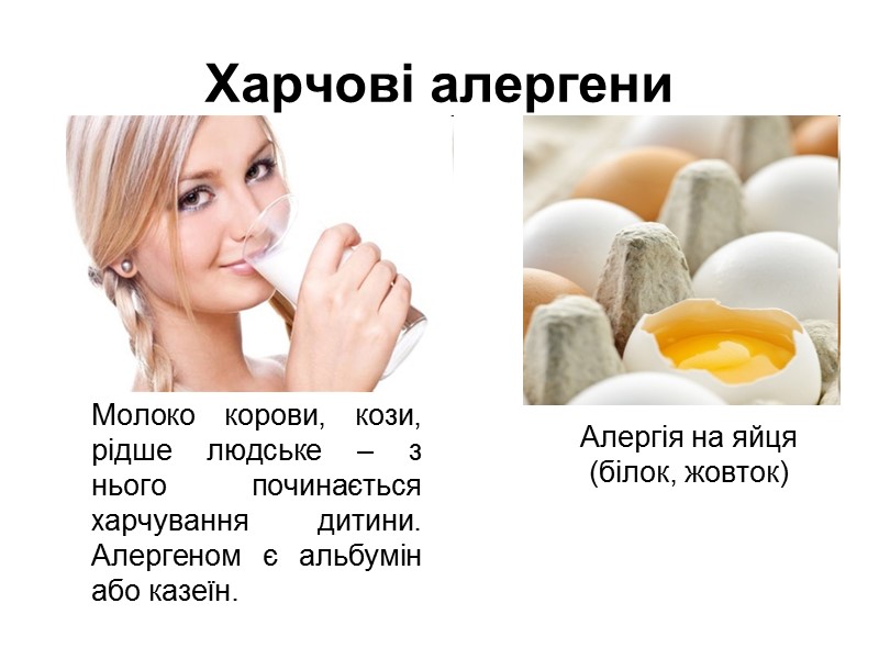 Харчові алергени         Алергія на яйця (білок,